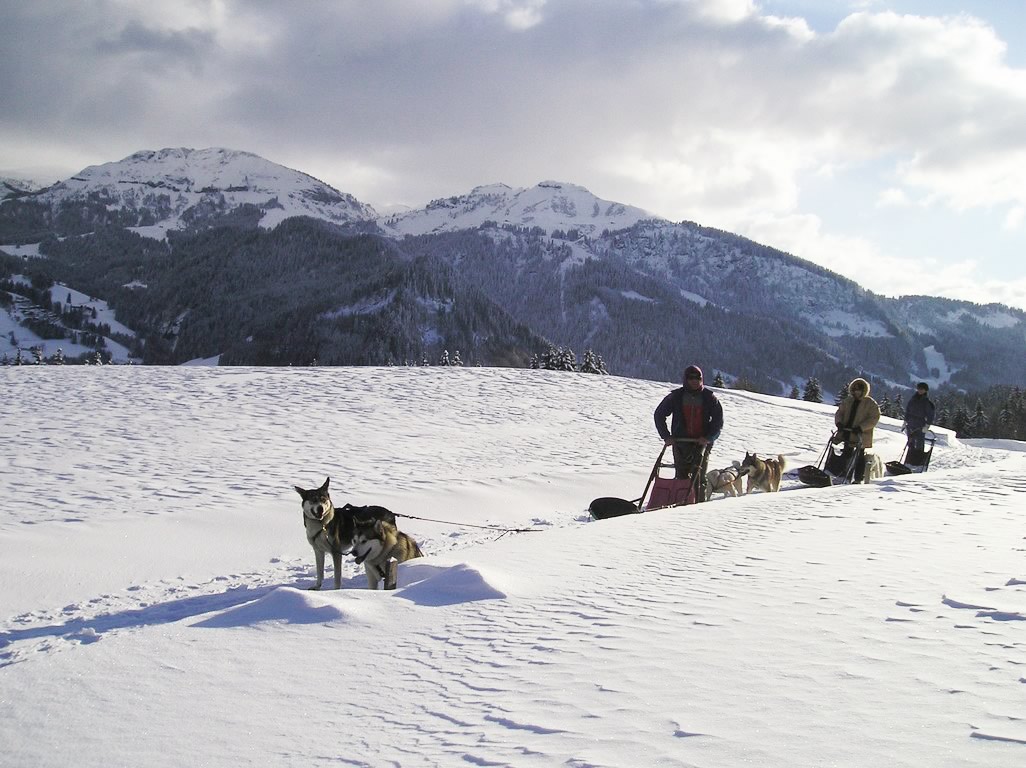 4 endroits où faire du chien de traîneau dans les Alpes françaises